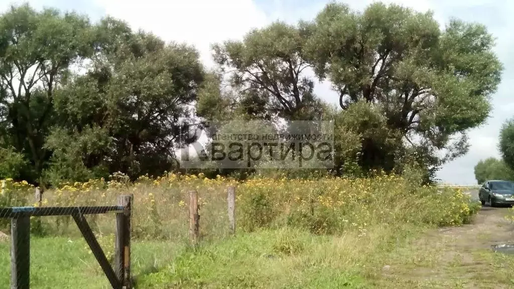 Участок в Смоленская область, Кардымово пгт ул. Марьинская (20.0 сот.) - Фото 1