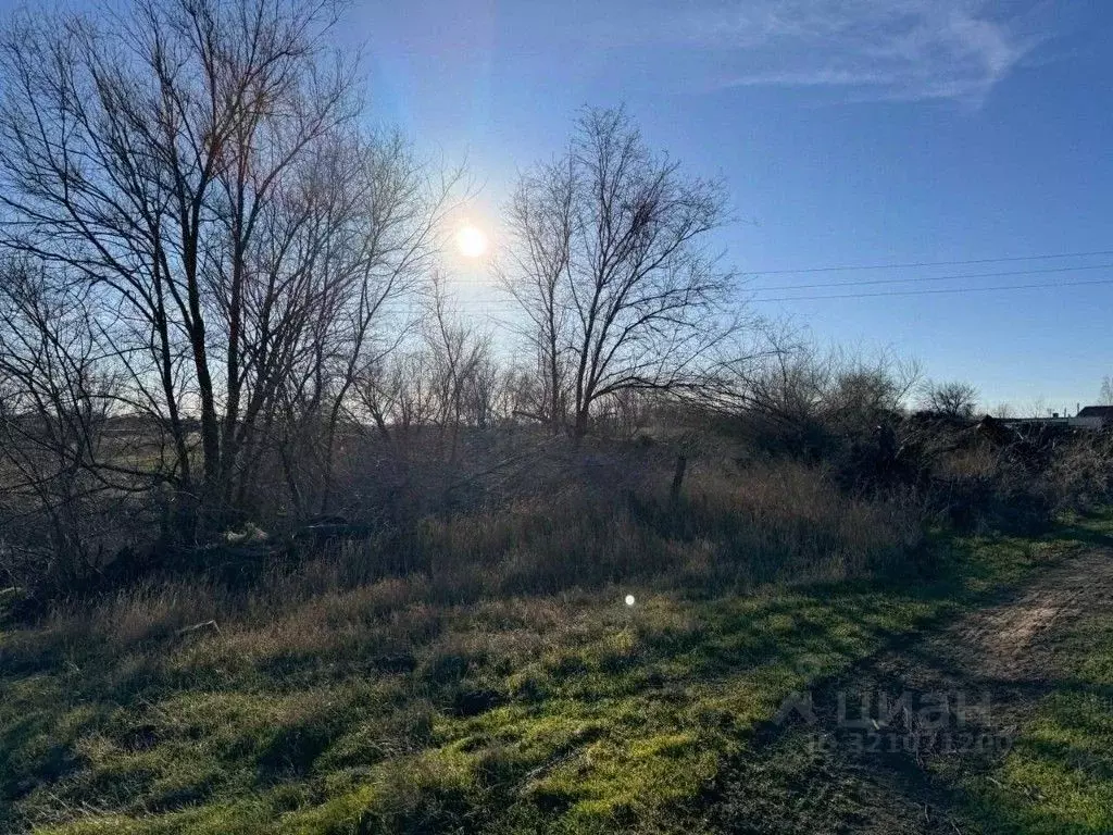 Участок в Ростовская область, Родионово-Несветайский район, ... - Фото 2