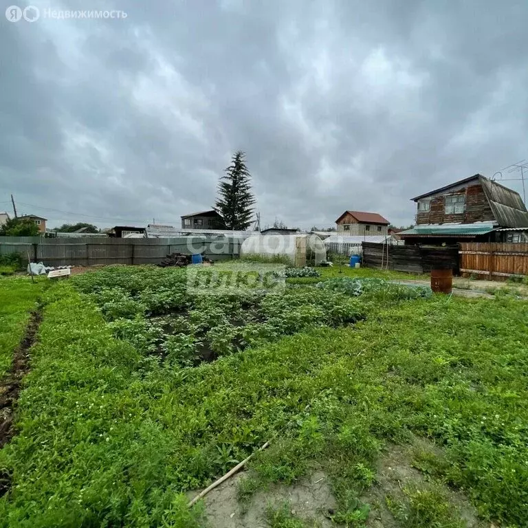 Участок в Иркутская область, Ангарск (6 м) - Фото 1