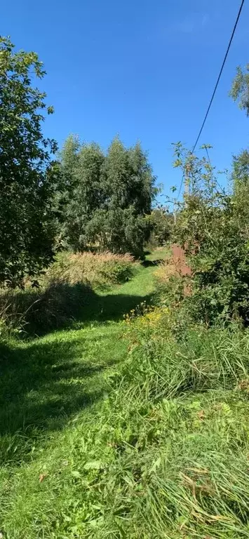 Участок в Калининградская область, Светлогорский городской округ, пос. ... - Фото 0