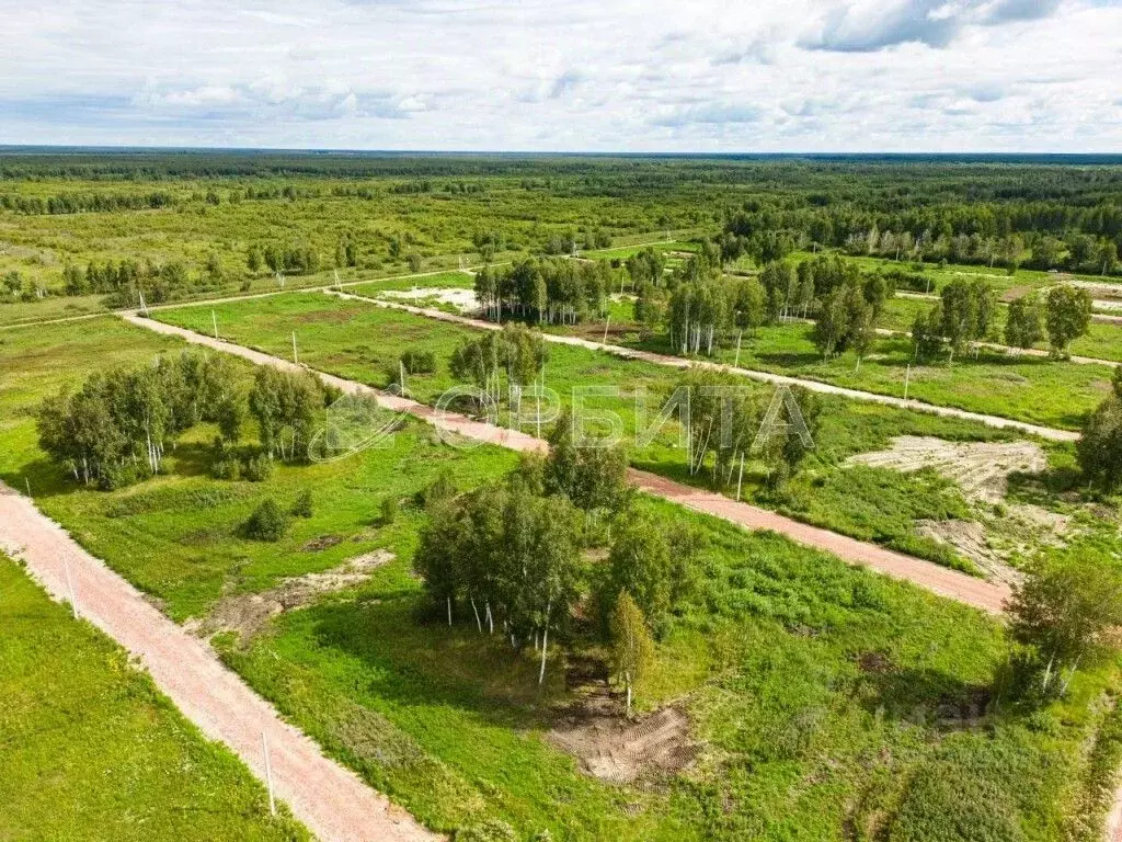 Участок в Тюменская область, Нижнетавдинский район, Строитель ТСН 933 ... - Фото 1
