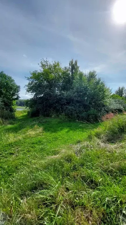 Участок в Нижегородская область, Кстовский муниципальный округ, д. ... - Фото 1