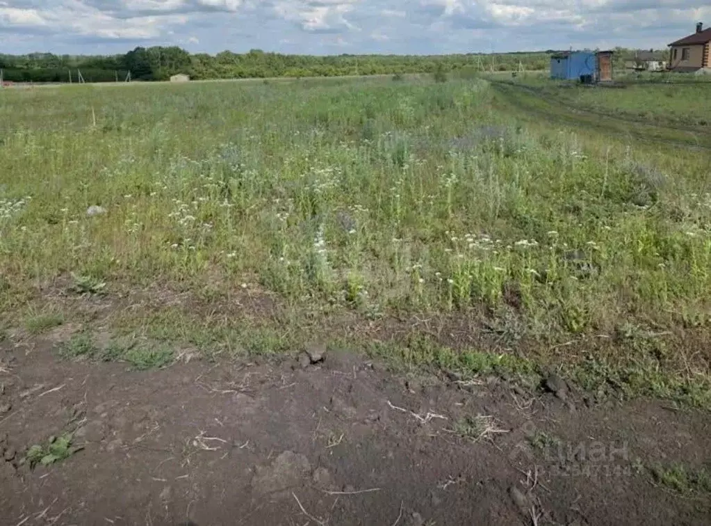 Участок в Белгородская область, Белгород Незабудка садовое ... - Фото 1