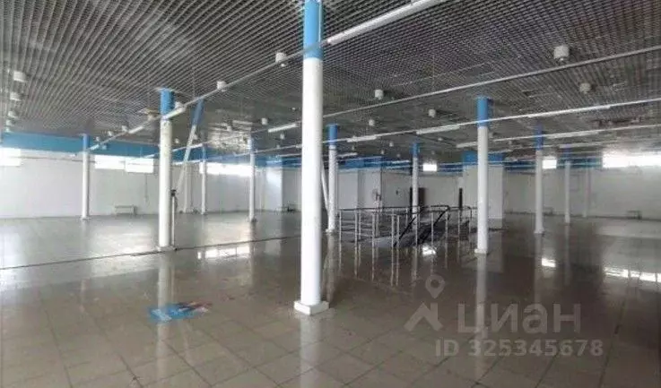 Торговая площадь в Санкт-Петербург просп. Культуры, 20 (500 м) - Фото 1