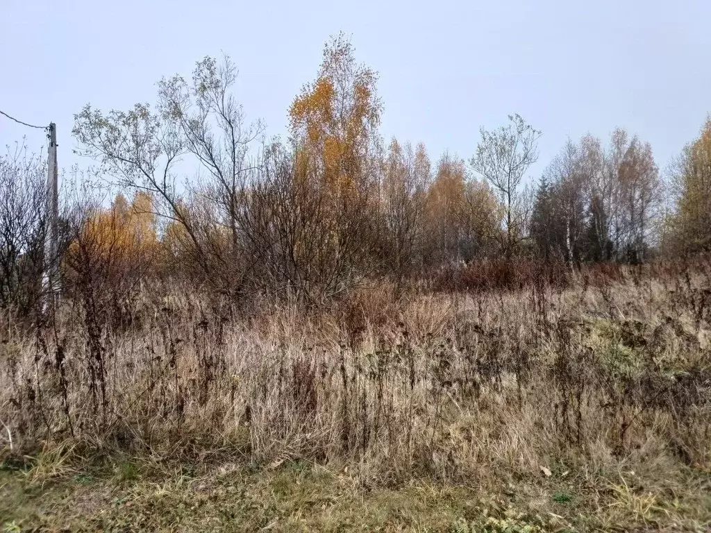 Участок в Московская область, Сергиево-Посадский городской округ, д. ... - Фото 0