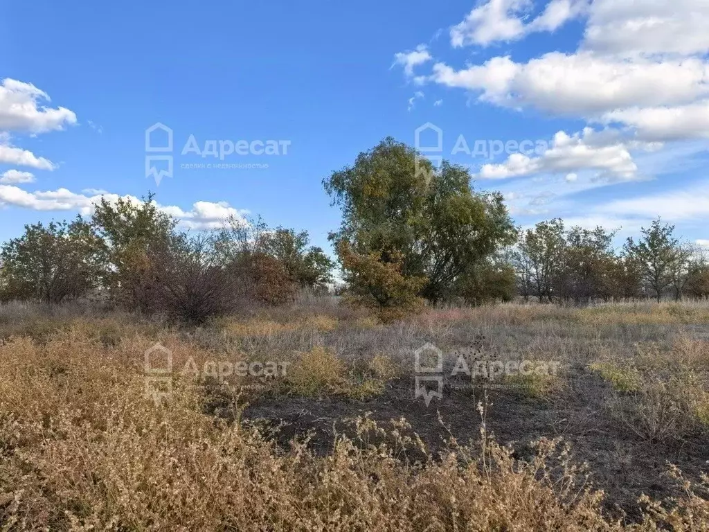 Участок в Волгоградская область, Краснослободск Среднеахтубинский ... - Фото 1
