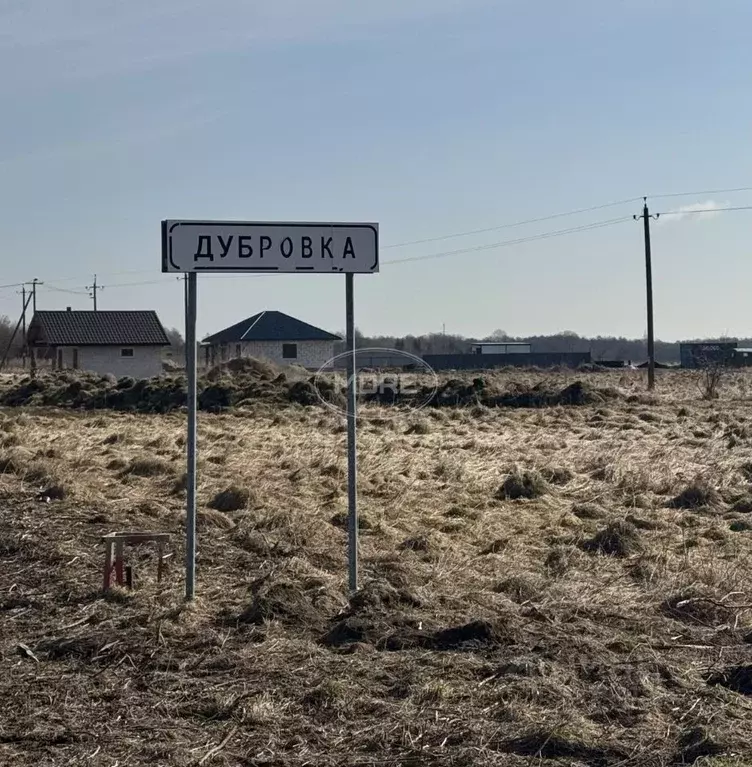 Участок в Калининградская область, Зеленоградский муниципальный округ, ... - Фото 1