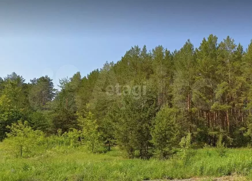 Участок 10,2 сот. (СНТ, ДНП) - Фото 0