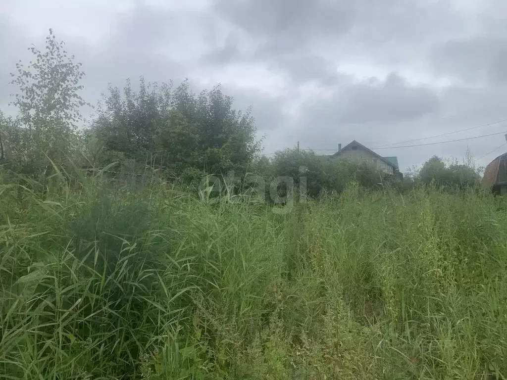 Участок в Тюменская область, Тюмень Корабельщик садовое товарищество, ... - Фото 1