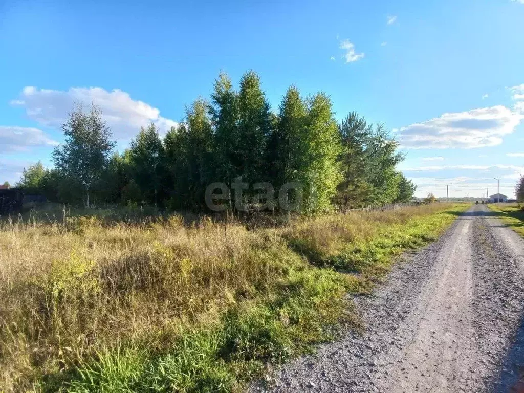 Участок в Новосибирская область, Ордынский район, с. Красный Яр ул. ... - Фото 1