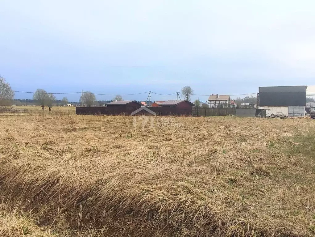 Участок в Ленинградская область, Ломоносовский район, Лопухинское ... - Фото 1