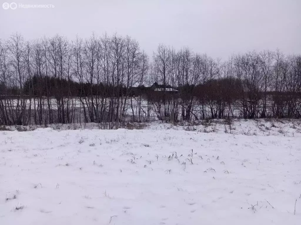 Участок в Архангельская область, Приморский муниципальный округ, ... - Фото 2