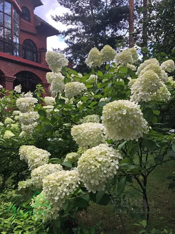 Коттедж в Московская область, Люберцы городской округ, Малаховка пгт ... - Фото 1