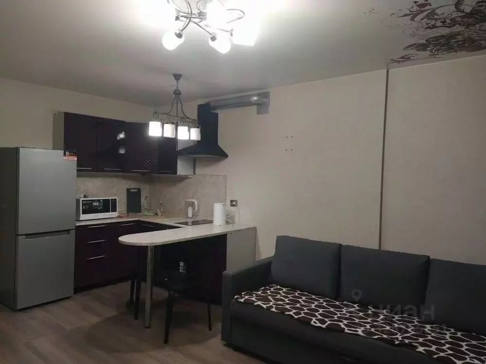 Студия Новосибирская область, Новосибирск Волховская ул., 37 (35.3 м) - Фото 1