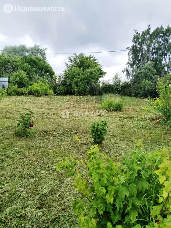 Купить Квартиру В Вологодской Области Поселок Васильевское
