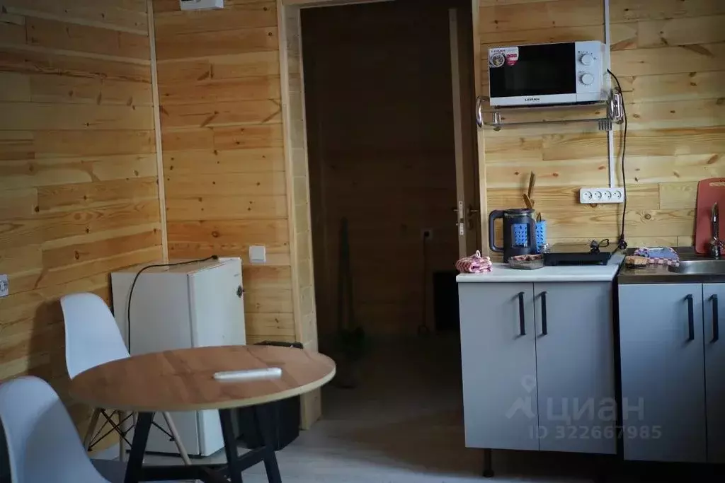 Дом в Бурятия, Тункинский район, пос. Аршан Набережная ул., 19А (21 м) - Фото 2