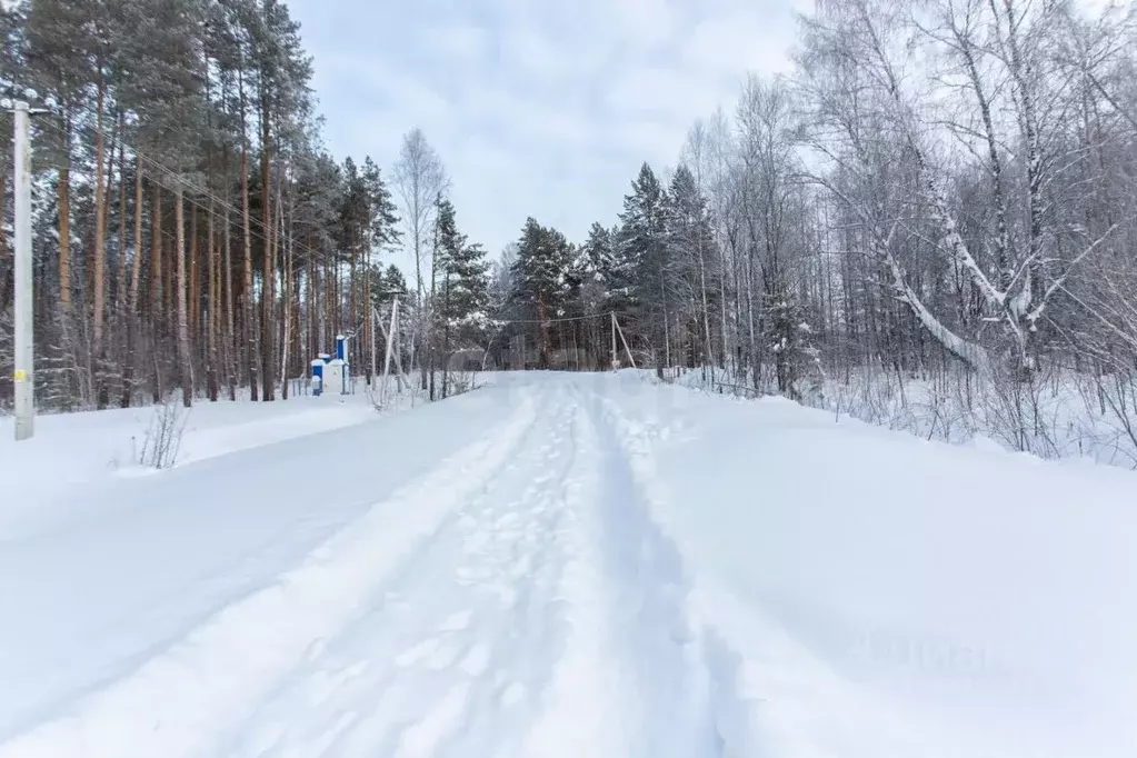 Участок в Тюменская область, Тобольск Микрорайон усадьба, 385 (10.0 ... - Фото 1