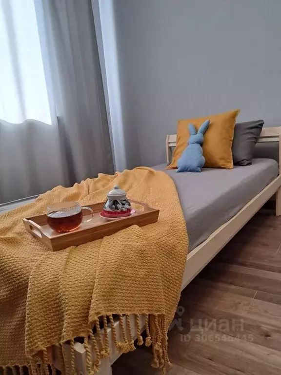 Студия Московская область, Солнечногорск городской округ, Голубое пгт ... - Фото 1