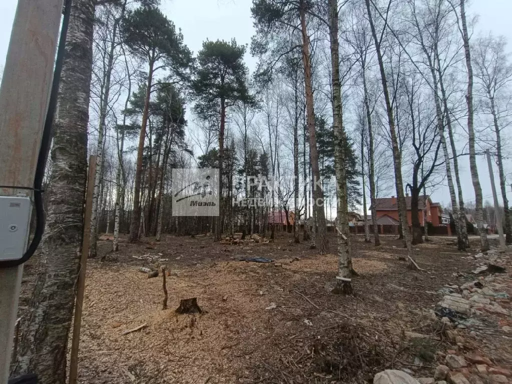 Продается участок в г. Ногинск - Фото 1