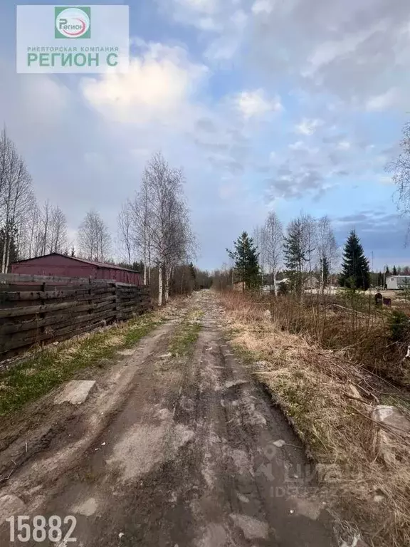 Участок в Архангельская область, Приморский муниципальный округ, ... - Фото 0