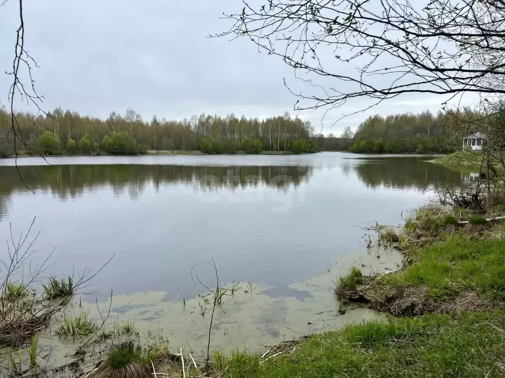 Участок в Ярославская область, Некрасовский муниципальный округ, ... - Фото 0