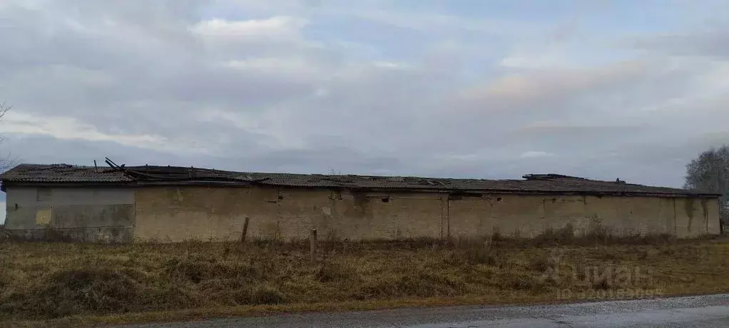 Помещение свободного назначения в Красноярский край, Большеулуйский ... - Фото 2