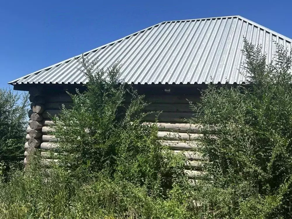 Помещение свободного назначения в Оренбургская область, Оренбург ул. ... - Фото 1