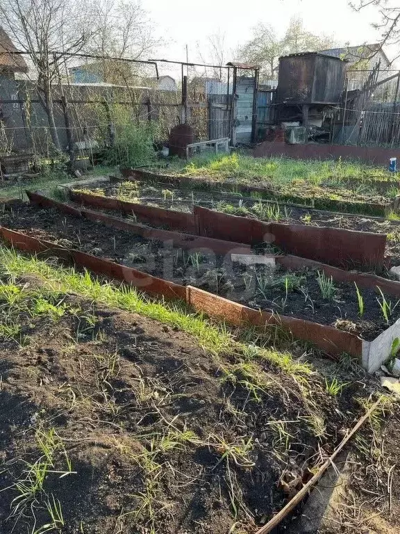 Участок в Челябинская область, Челябинск Искра садовое товарищество, ... - Фото 1