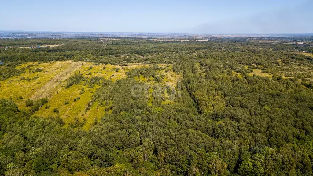 Муромский Лес Белгород Фото