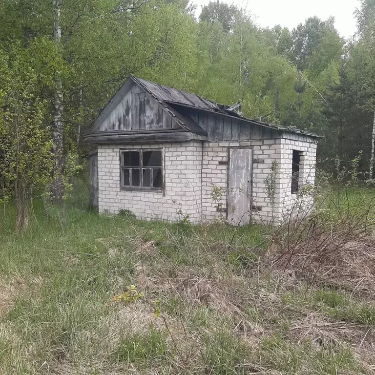 Дача 20 м на участке 5,5 сот. - Фото 0