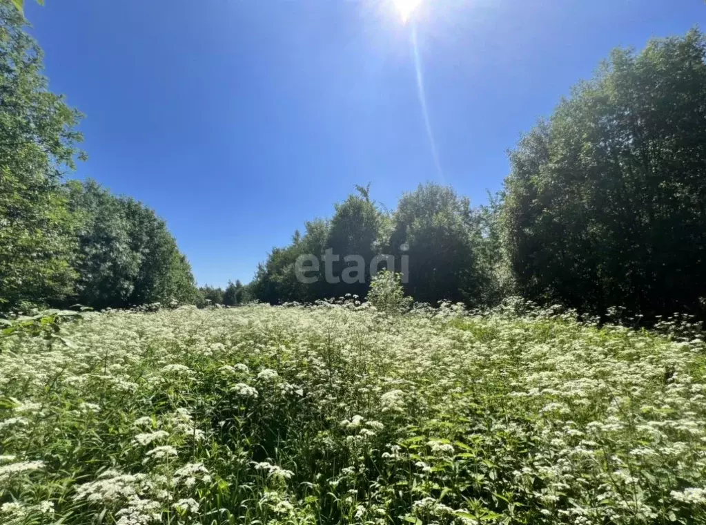 Купить Земельный Участок Череповецком Районе Вологодской Области