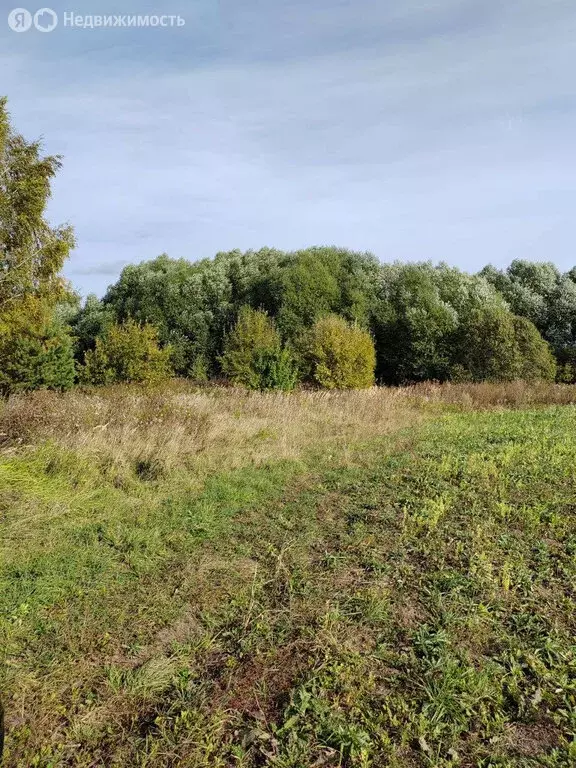 Участок в Суздальский район, муниципальное образование Селецкое, село ... - Фото 1