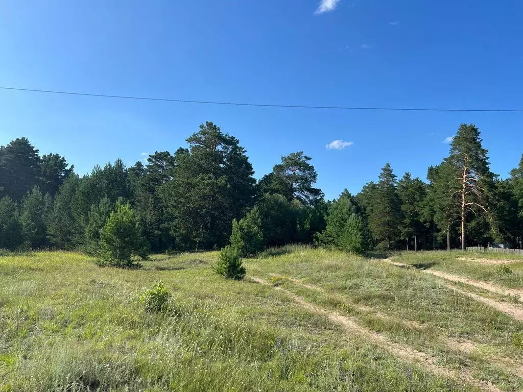 Участок в Алтайский край, Егорьевский район, Лебяжинский сельсовет, ... - Фото 2