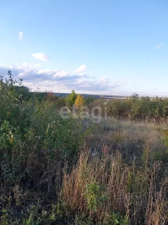 Участок в Воронежская область, Нижнедевицкий район, Верхнетуровское ... - Фото 0