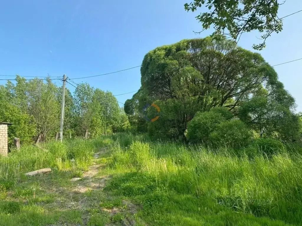 Участок в Новгородская область, Чудово Набережная ул., 19 (5.6 сот.) - Фото 0