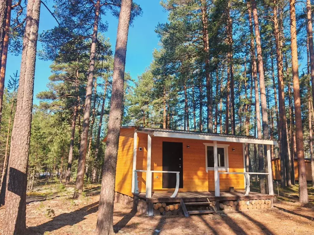 Дом в Карелия, Олонецкий район, Коверское с/пос, д. Нурмолицы  (36 м) - Фото 2