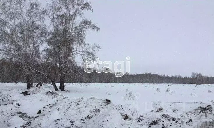 Участок в Тульская область, Тула муниципальное образование, д. Ильино  ... - Фото 0