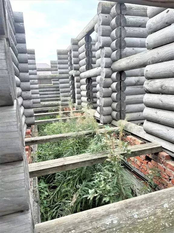 Участок в Омская область, Омский район, с. Дружино, Александровская ... - Фото 0