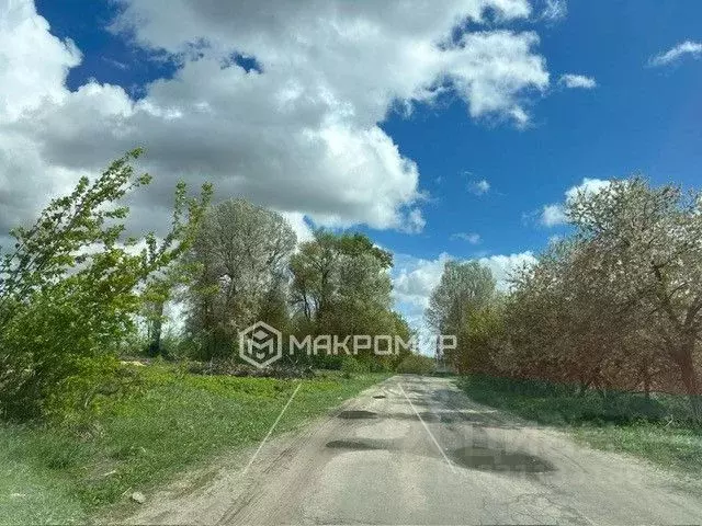 Участок в Брянская область, Брянский район, Мичуринское с/пос, д. ... - Фото 1