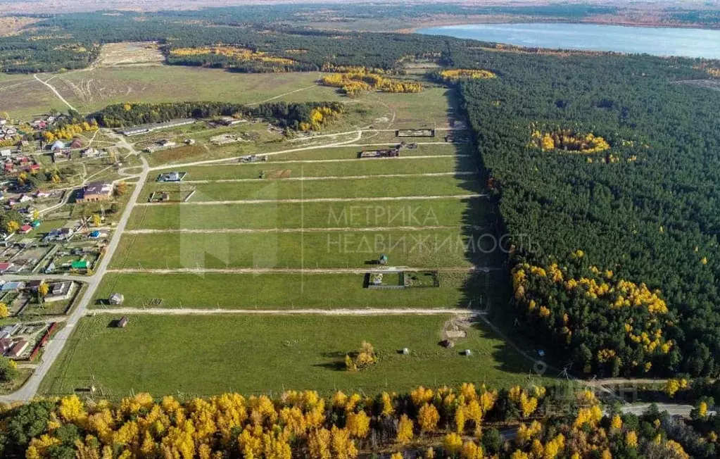 Участок в Тюменская область, Тюменский муниципальный округ, Чикчинское ... - Фото 2