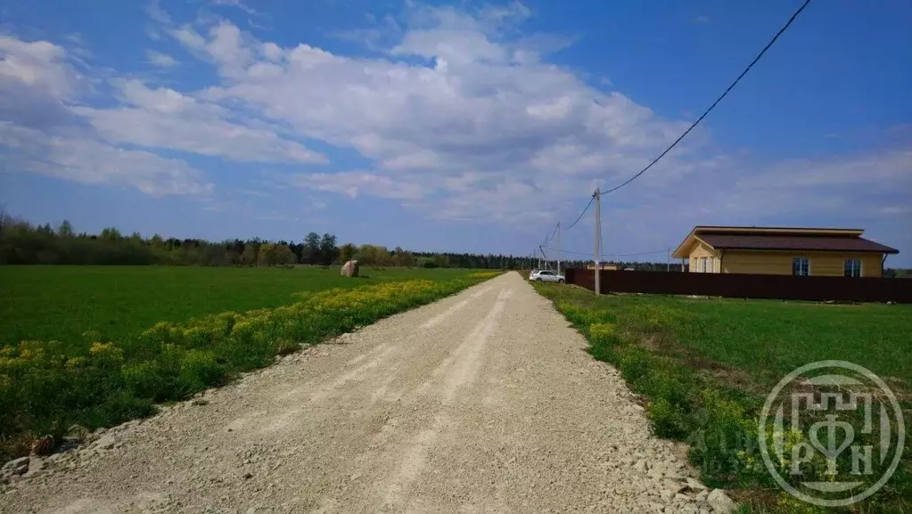 Участок в Ленинградская область, Волосовский район, Клопицкое с/пос, ... - Фото 2