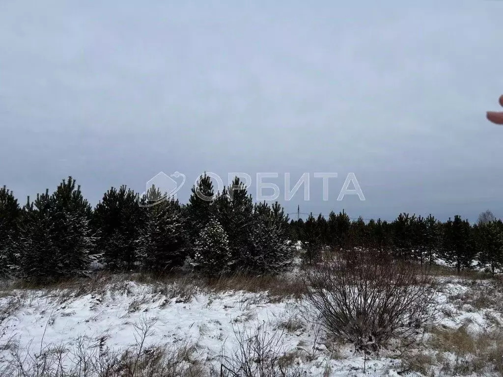 Участок в Тюменская область, Тюменский район, д. Речкина  (7.0 сот.) - Фото 0