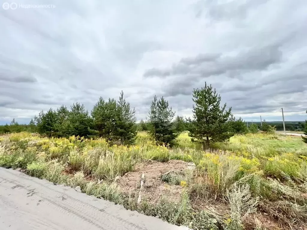 Участок в деревня Каменное, Зелёный переулок (8 м) - Фото 2