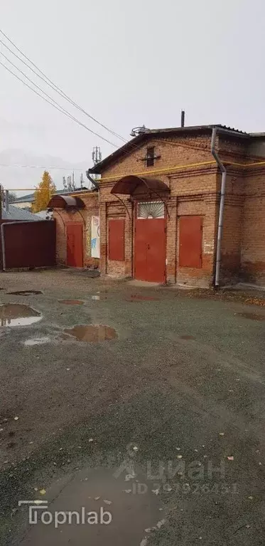 Помещение свободного назначения в Алтайский край, Барнаул ул. ... - Фото 1