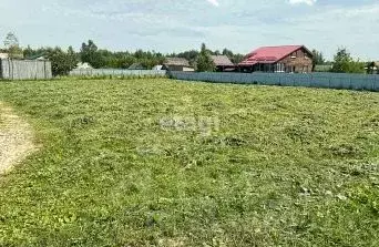 Участок в Новосибирская область, Новосибирский район, Барышевский ... - Фото 1