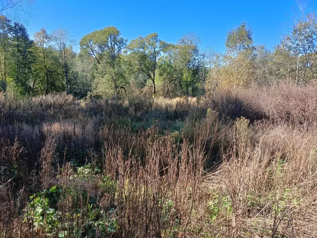 Участок в Московская область, Клин городской округ, д. Сметанино  ... - Фото 2