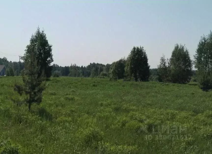 Участок в Московская область, Дмитровский муниципальный округ, пос. ... - Фото 1