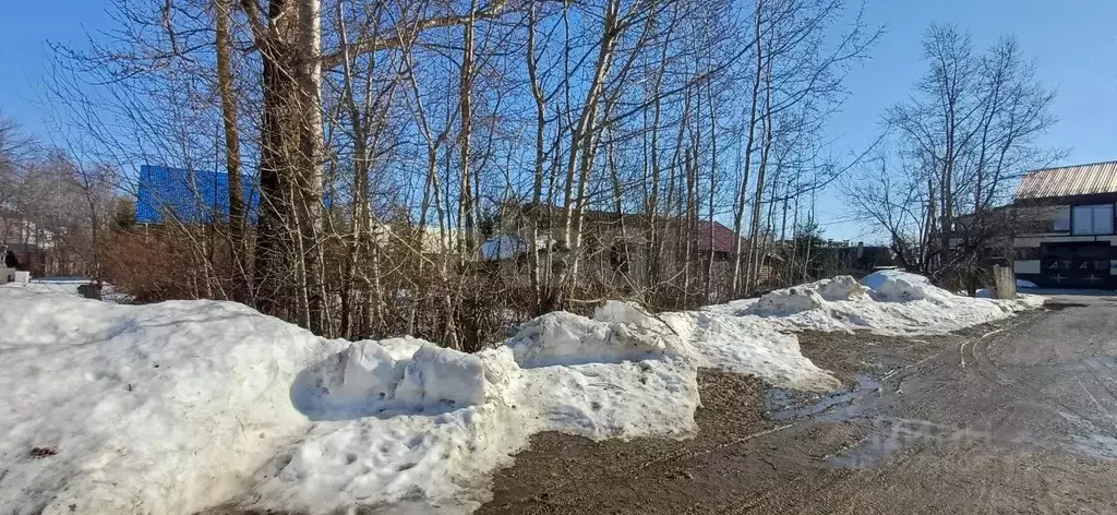 Участок в Вологодская область, Шексна рп, Шексна Северная мкр ул. ... - Фото 1