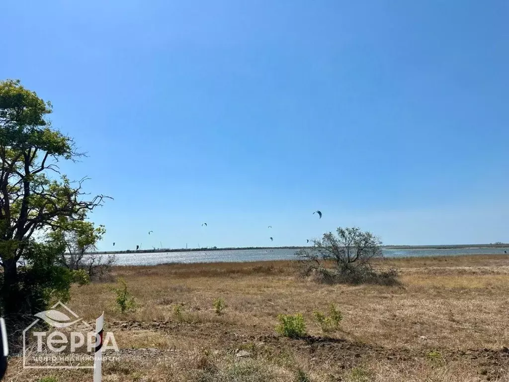 Участок в Крым, Черноморский район, с. Межводное ул. Сергея Королева ... - Фото 1