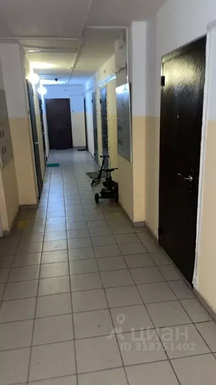 Студия Красноярский край, Красноярск Норильская ул., 40 (27.6 м) - Фото 1